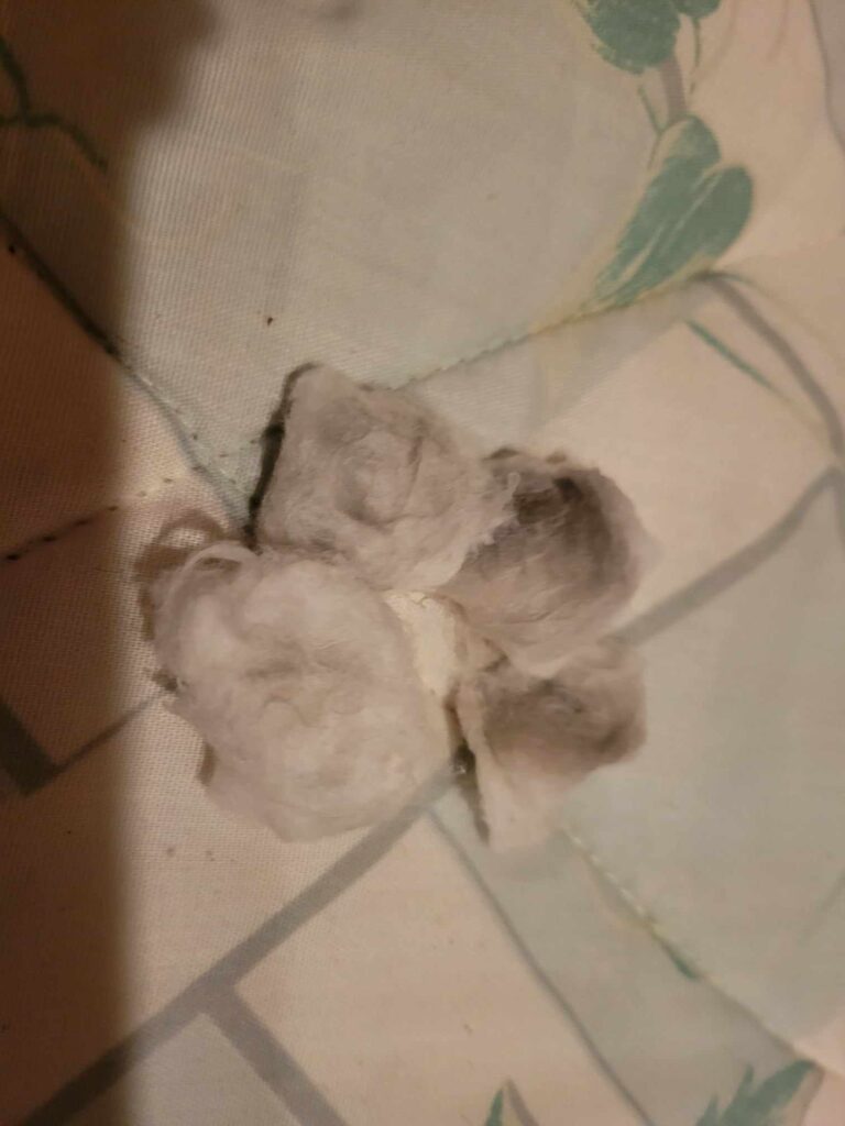 4 very dirty cotton balls